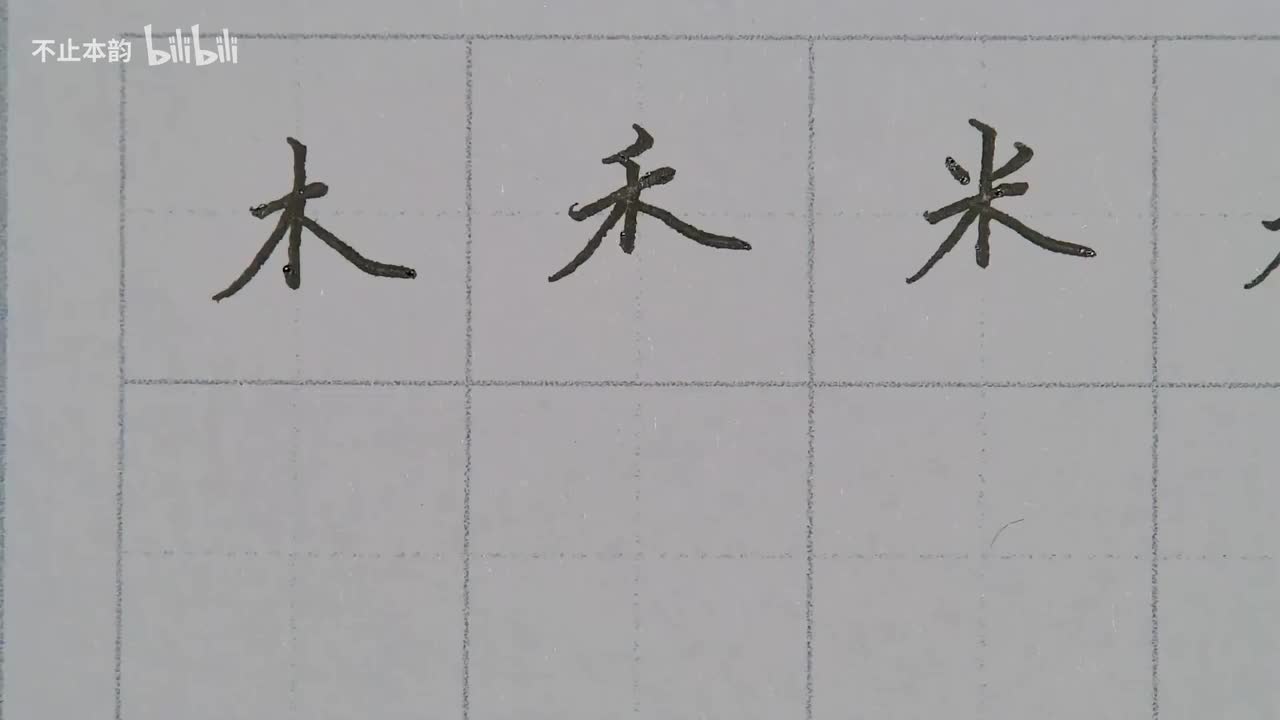 第47集：木、禾、米、悉字头