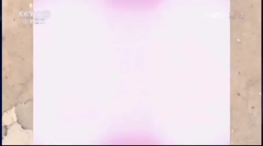 2016中国文艺演唱会