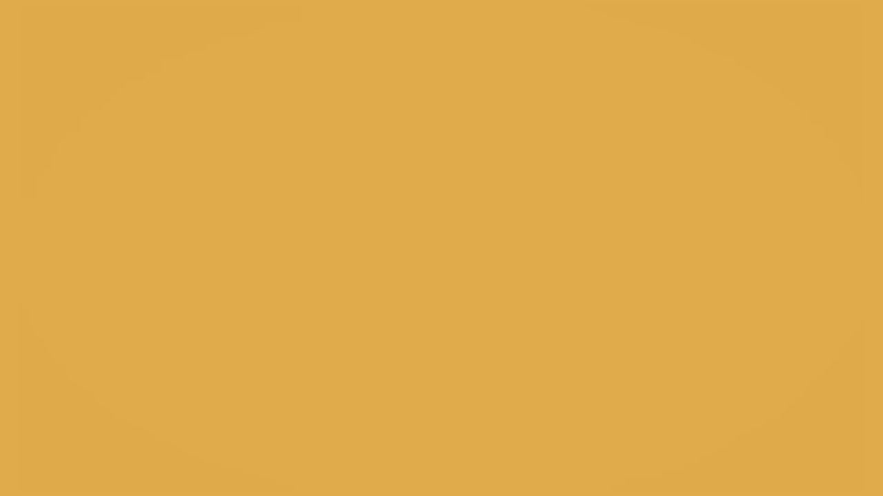 11.【教养理念】价值感——独立完整的自尊体系