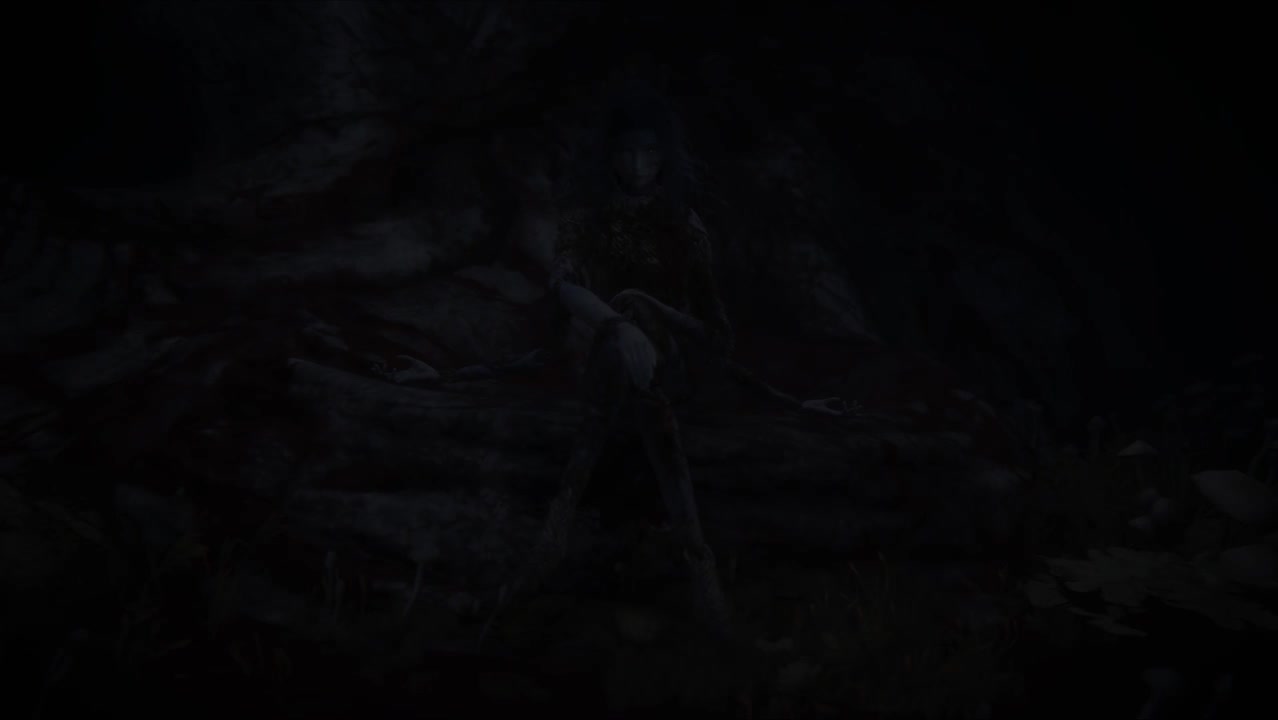 20.（补充）为菈妮带上戒指（群星结局线）