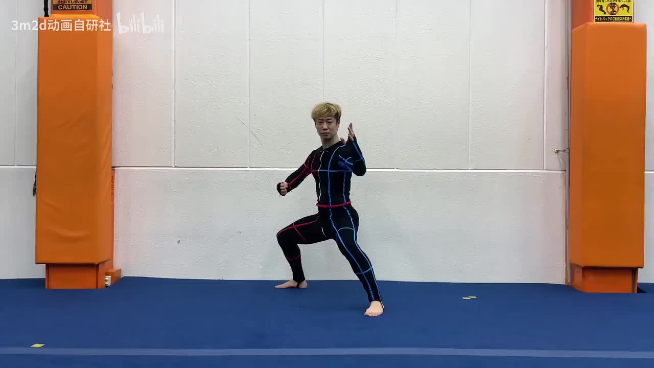 【战斗待机】马步侧身向前[pose参考]