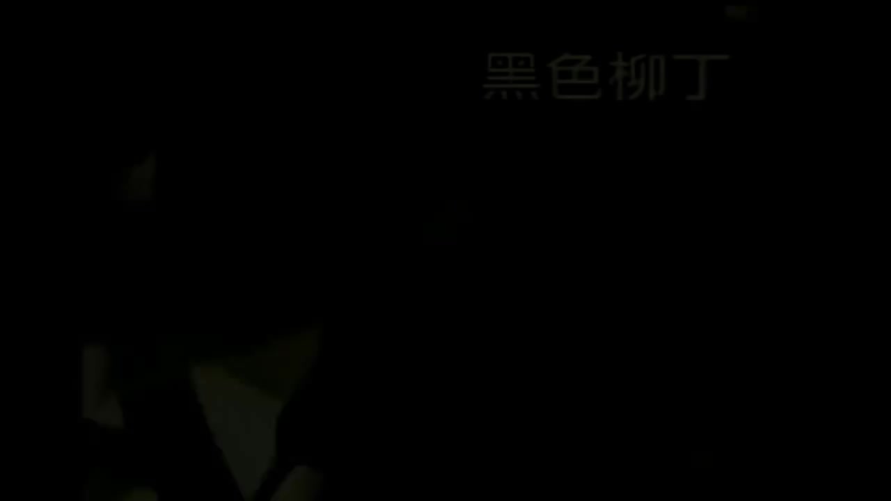 27 黑色柳丁【专辑：黑色柳丁】