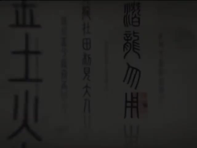 61_#61 《Beijing Roast Duck A culinary experience (Hello China )》_清晰 480P