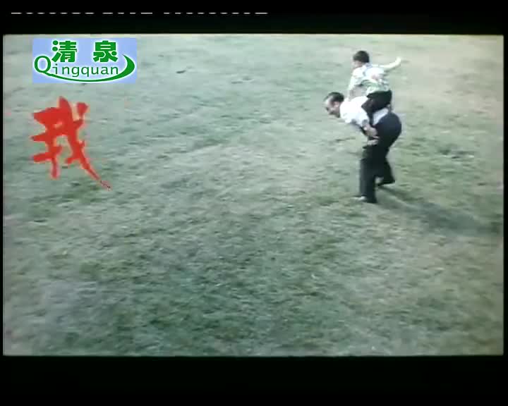 豫剧《我爱我孙》（电影）