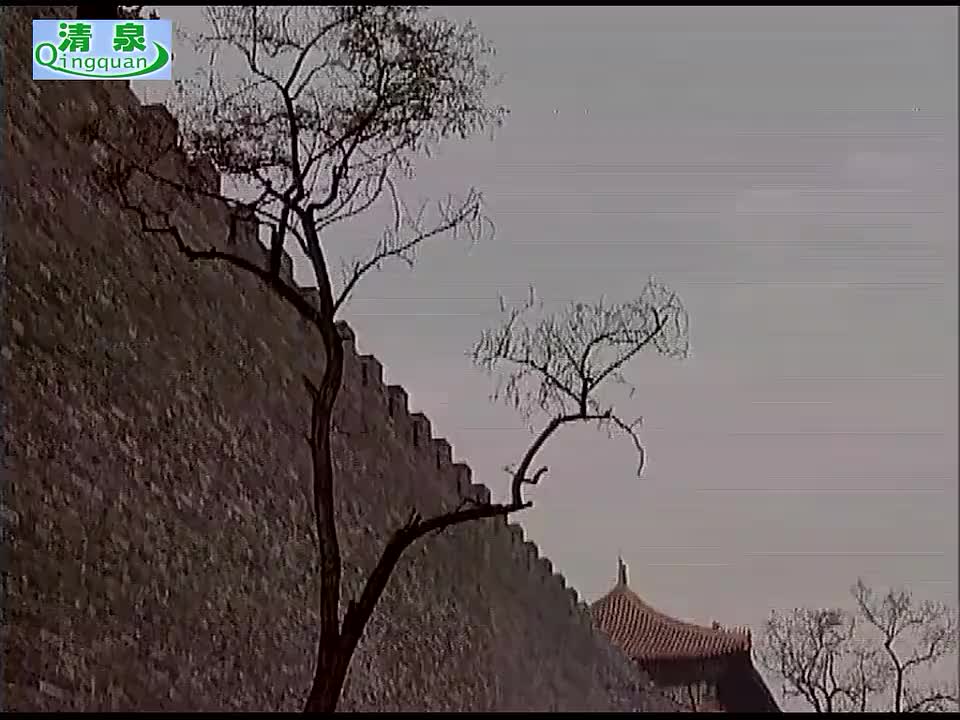 黄梅戏《啼笑因缘》张弓 周莉 汪静（上部）