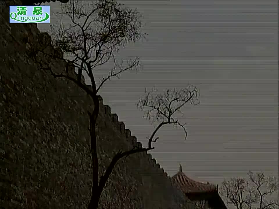 黄梅戏《啼笑因缘》张弓 周莉 汪静（下部）