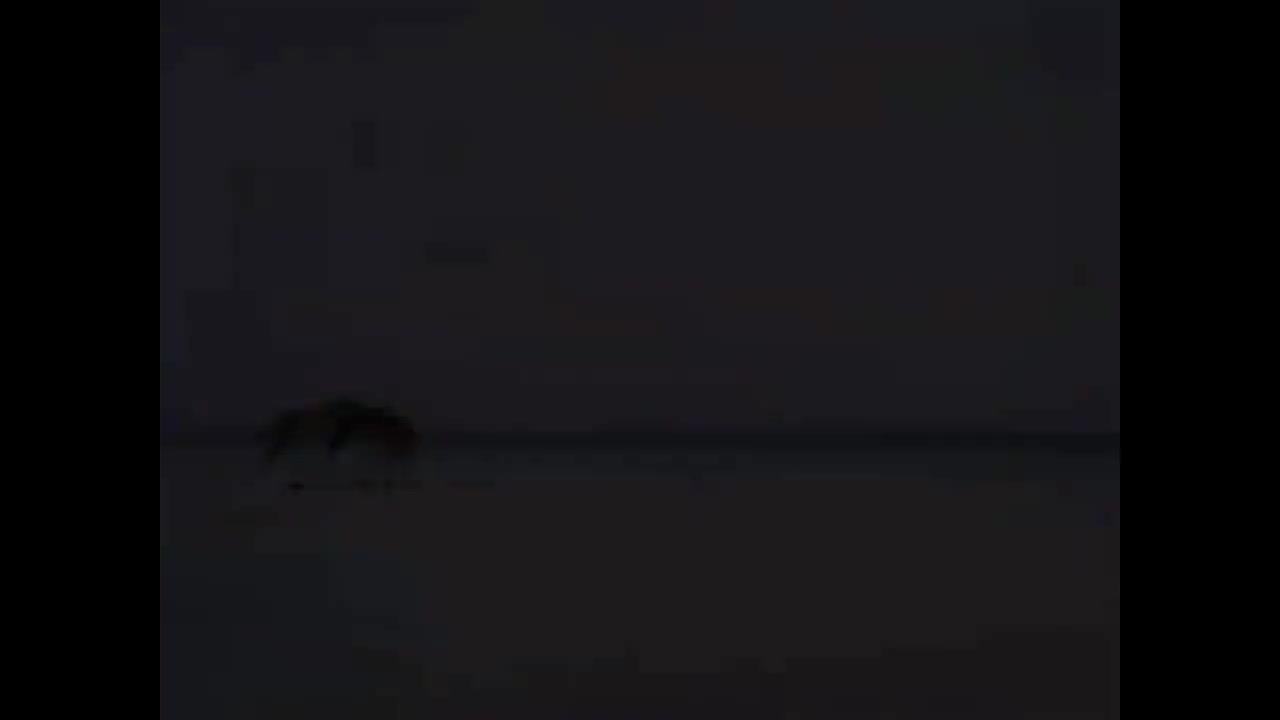 刘德华经典歌曲MV大合集-80-刘德华-天生天养