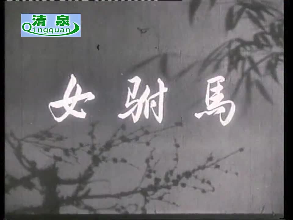 黄梅戏《女驸马》严凤英