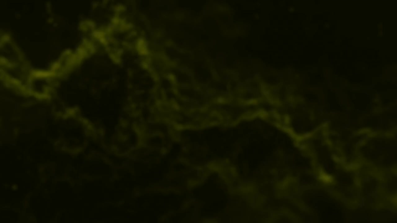 6.1.3 - Self mastering vs mastering services