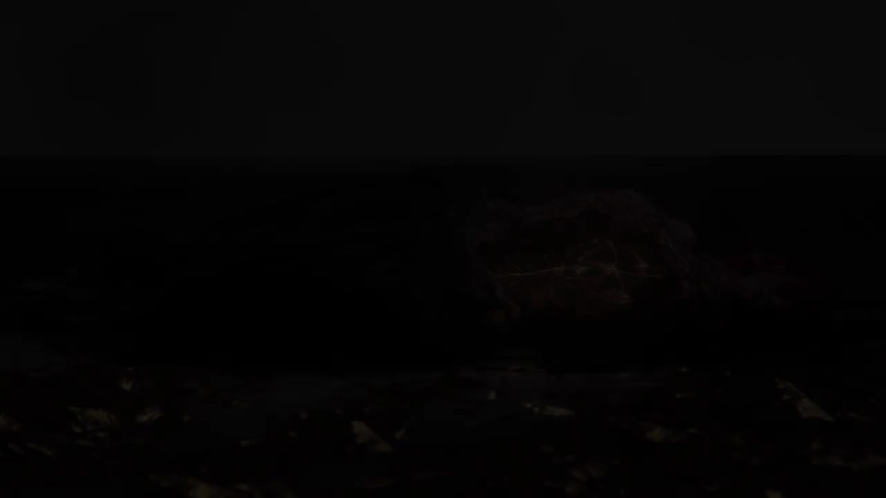 艾尔登之兽 出场动画