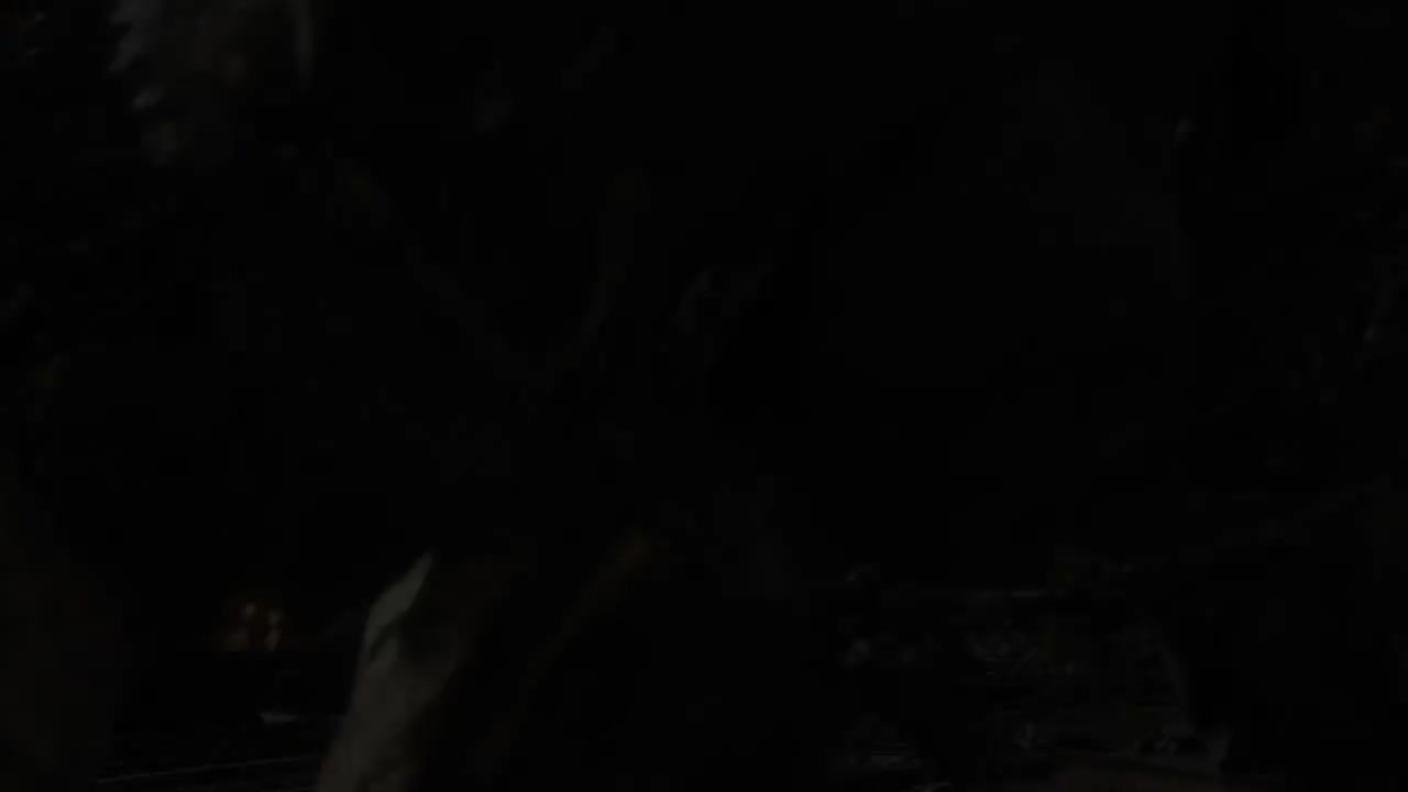 “黑剑”玛利喀斯 二阶段过场动画