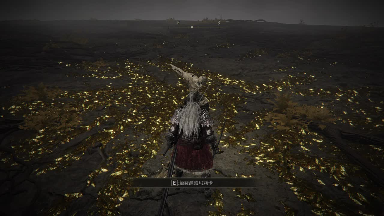 艾尔登之王 绝望时代