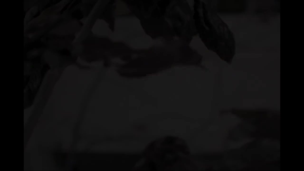 59 就是爱你【专辑：太平盛世】