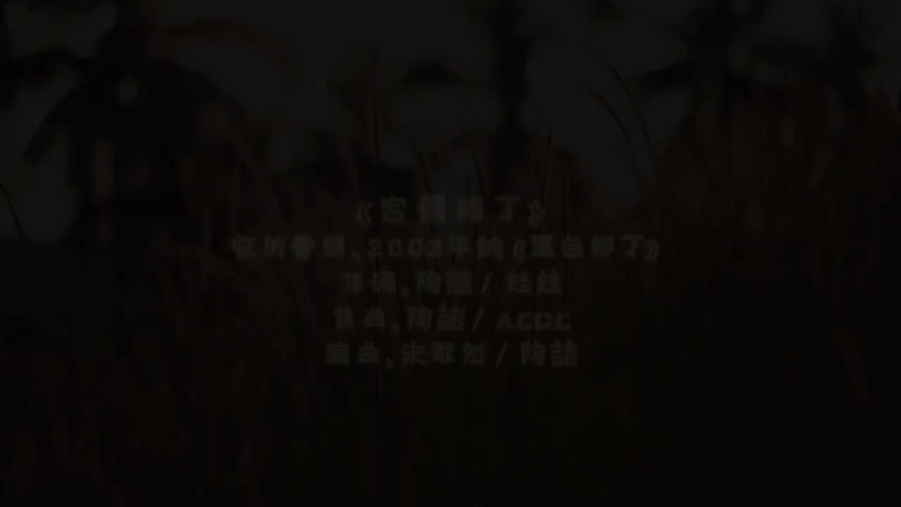 33 宫保鸡丁【专辑：黑色柳丁】