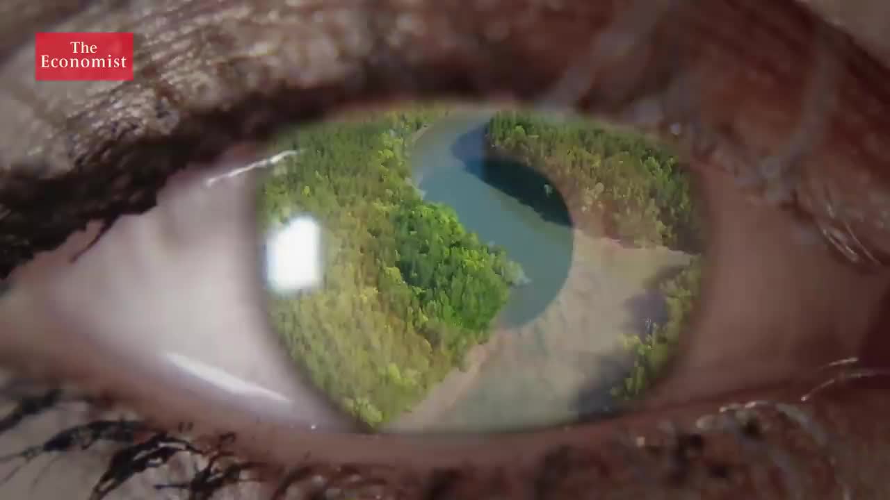 【2022.7.3】65. Mass extinction - what can stop it 大众灭绝 - 什么可以阻止它_