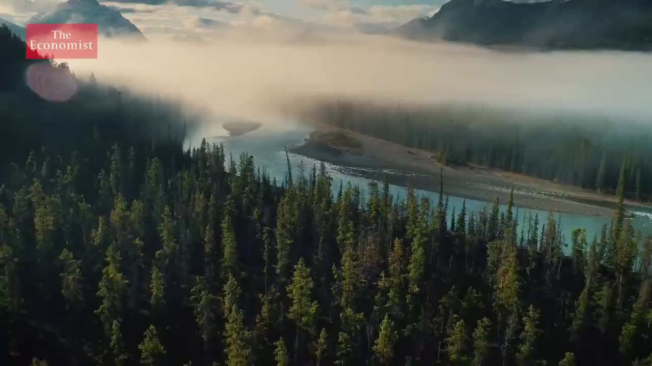 【2020.9.16】119. David Attenborough talks about his new Netflix film _ Th