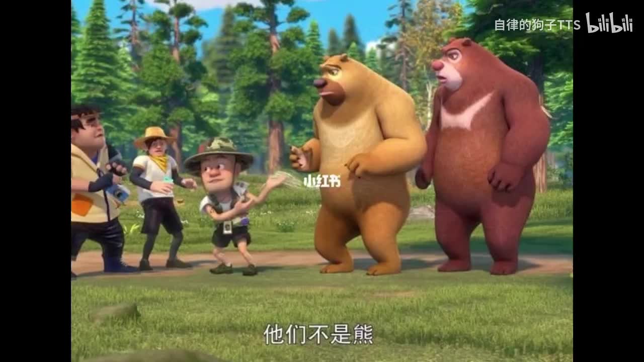 The Adventure Begins