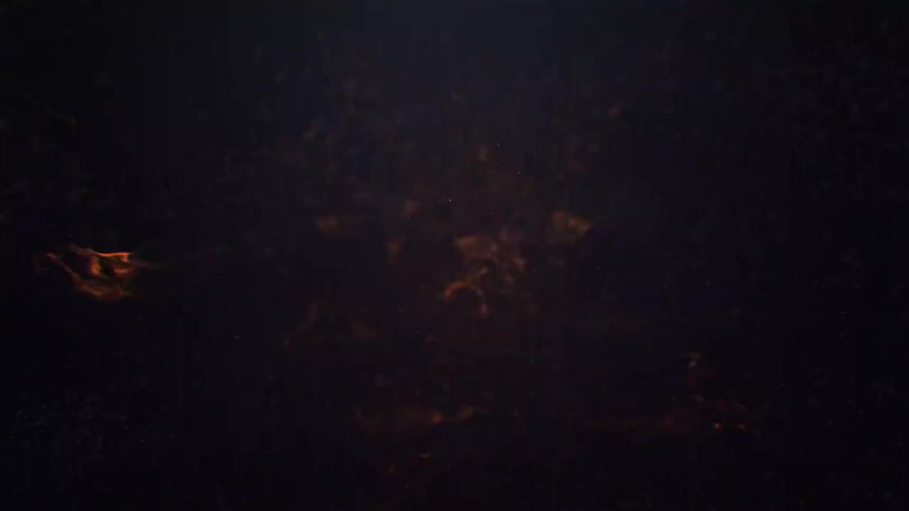 全息to现实参考- Rosneft