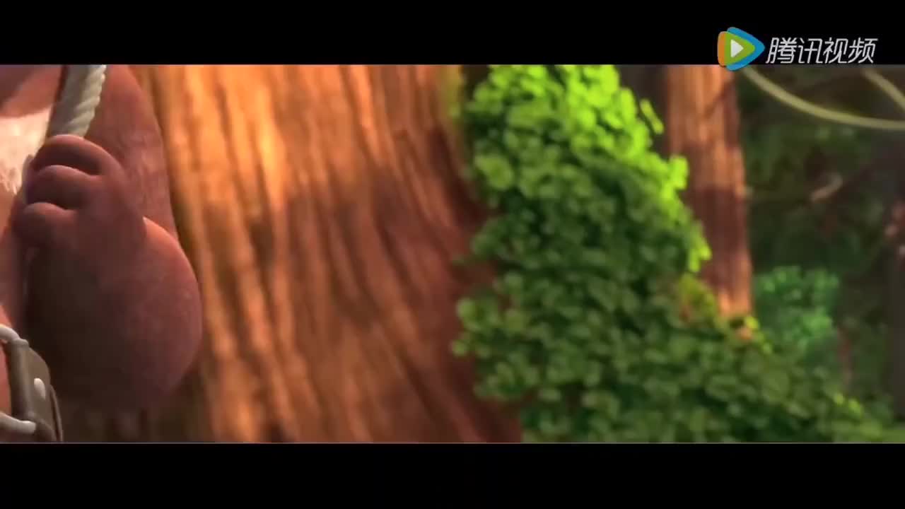 2016熊心归来:看看世界有多大