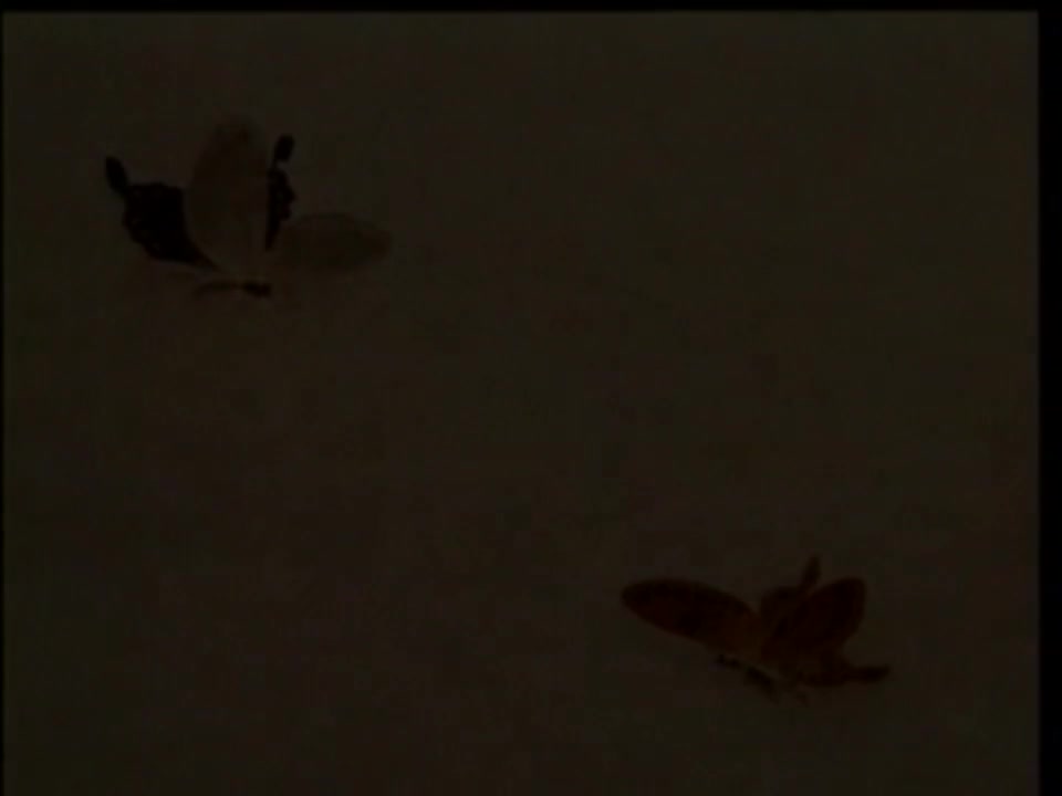 黄梅戏《梁山伯与祝英台》02