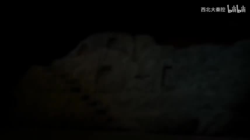 S-【陕北往事】全本 大型秦腔现代剧 侯红琴 张涛 马璐璐 王战毅 西安三意社