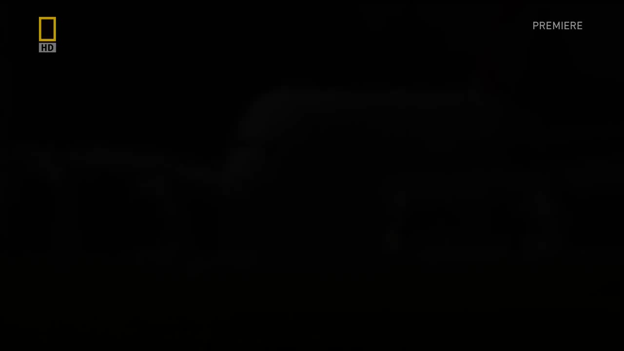 空中浩劫13-10 Qantas 32：Titanic in the Sky 澳洲航空32号班机 2010