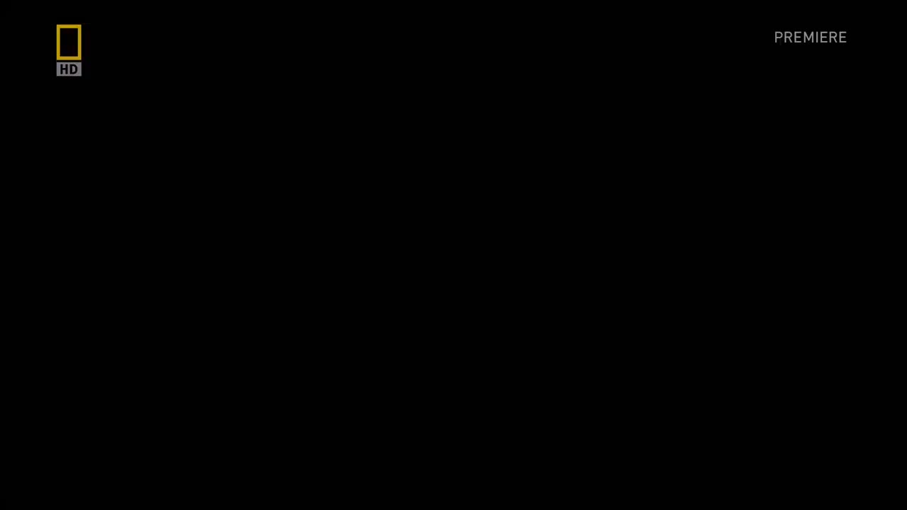 空中浩劫13-09 Massacre Over The Mediterranean 意大维亚航空870号班机 1980