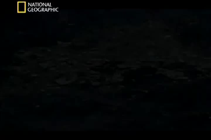 空中浩劫06-02 特辑-2 Fatal Fix 261、123、529、111、585、427和517号班机