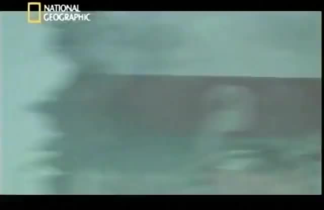 空中浩劫11-05 Munich Air Disaster 慕尼黑空难 1958