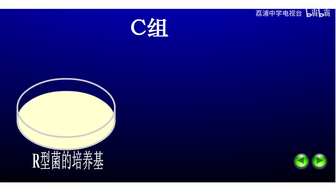 09.艾弗里肺炎双球菌的转化实验（C组）
