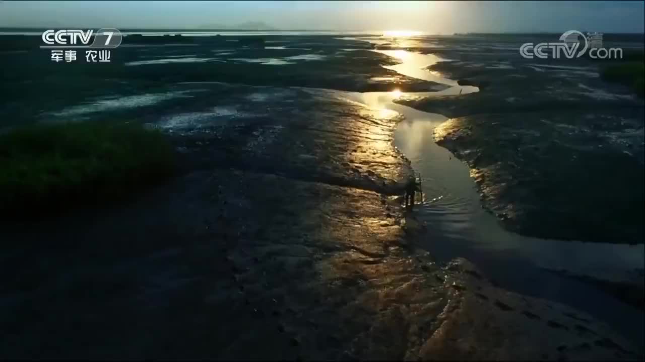 《鲜味的秘密》 06集 鲜无止境