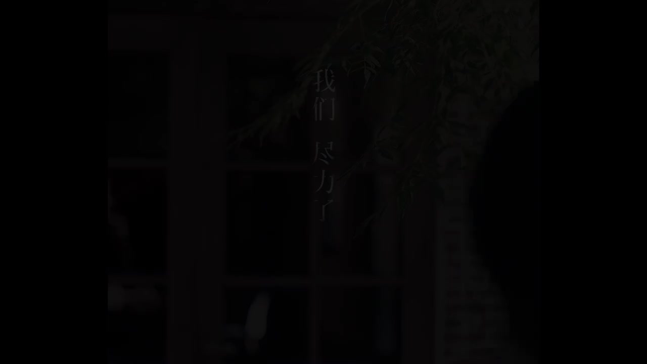 张宇-我们尽力了