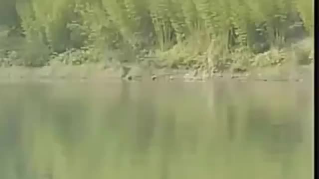 《梁四珍与赵玉麟》下集