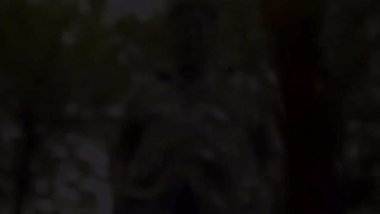 4K 柱子哥暴杀黄鼠狼