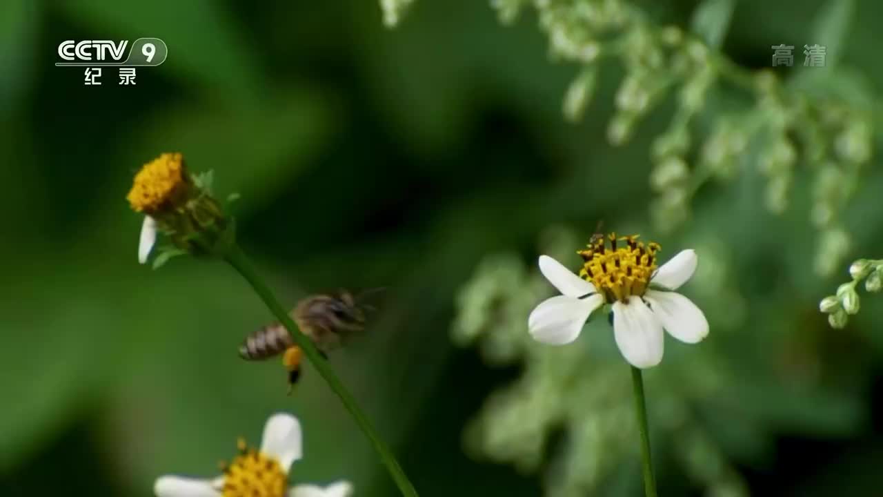 8. 甜蜜的回报（2）