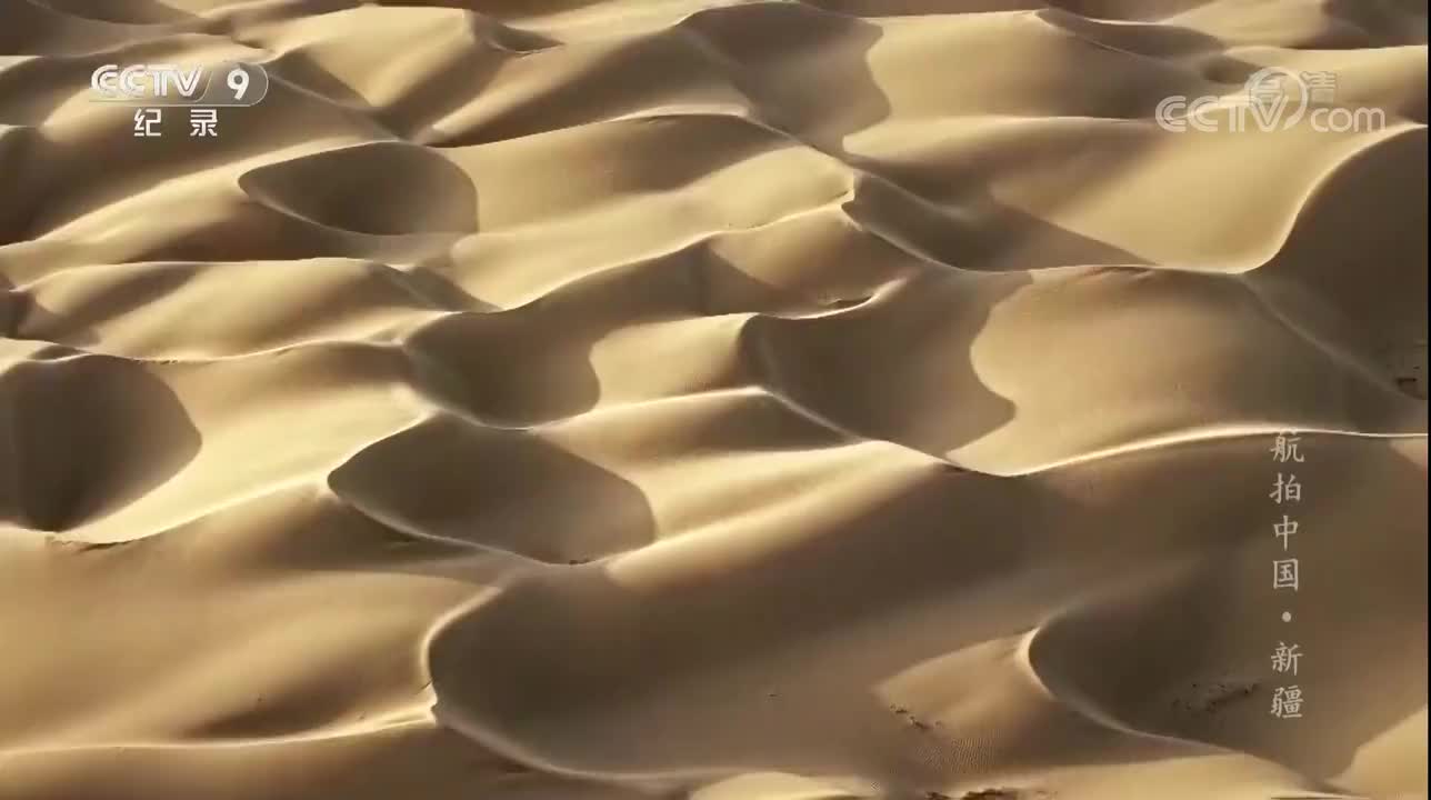 《塔克拉玛干沙漠》by【航拍中国·新疆】