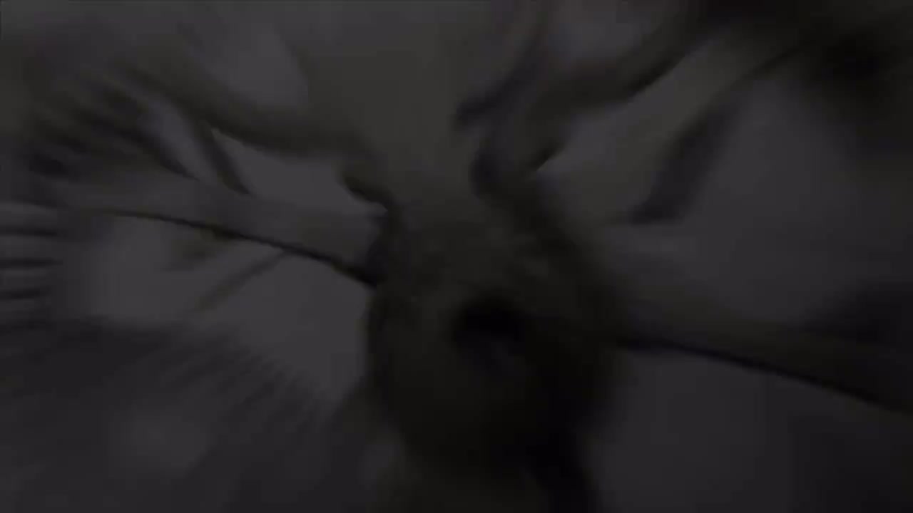 石头门Game OP (PS3)