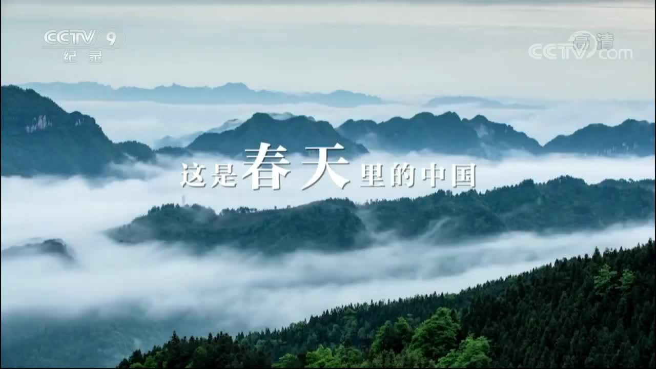 《大美中国.春天系列》15集 春天的陕西