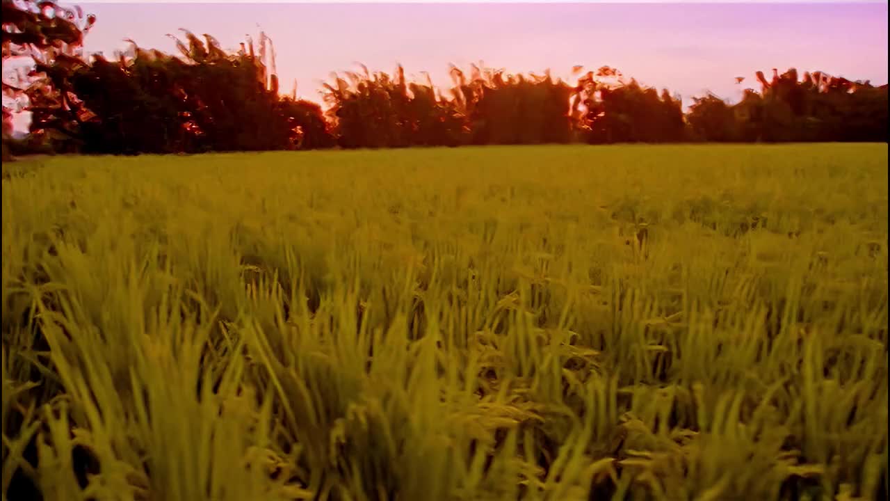 4K - 周杰伦 - 稻香（伴奏）