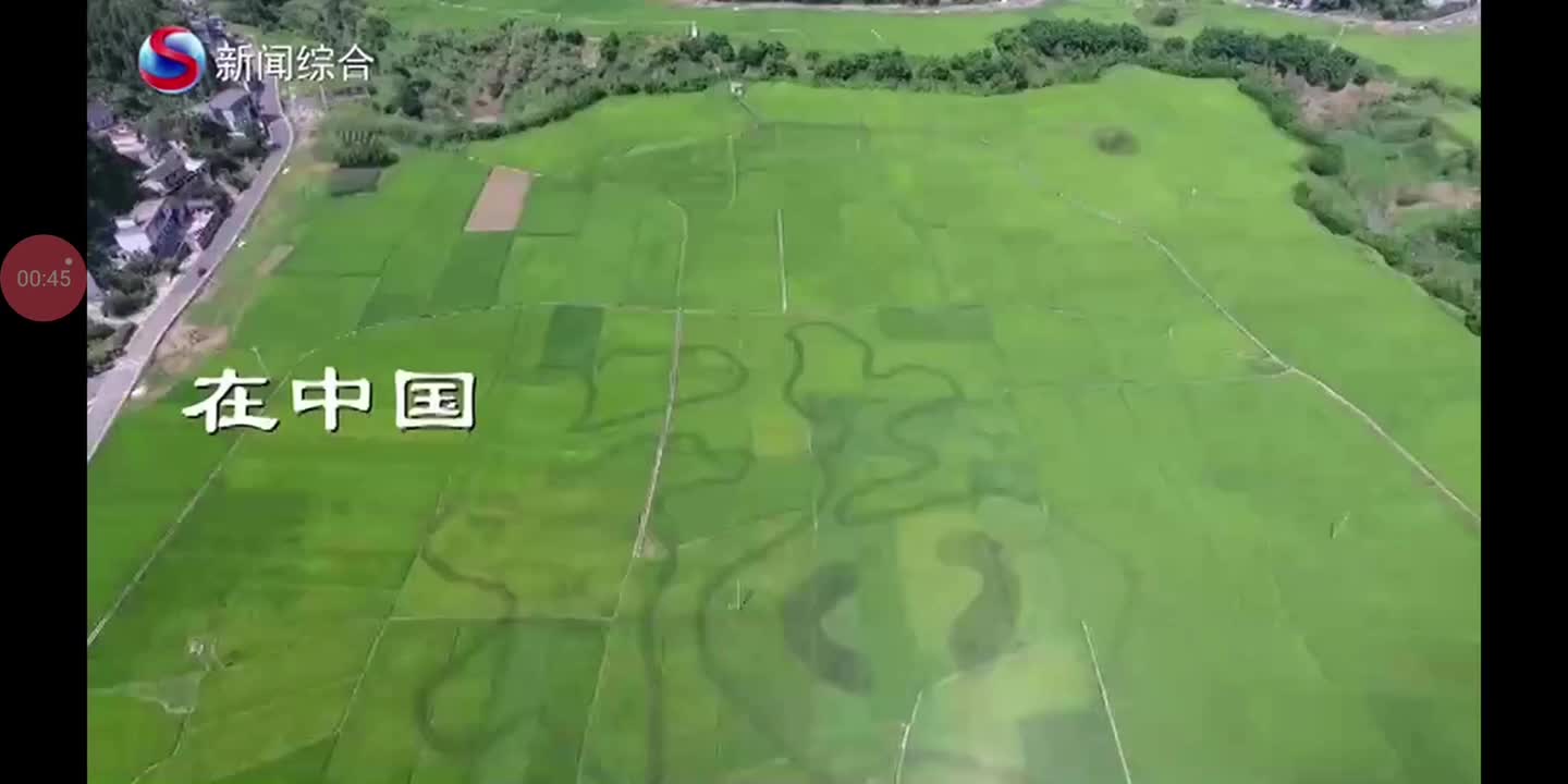 汕尾新闻综合频道