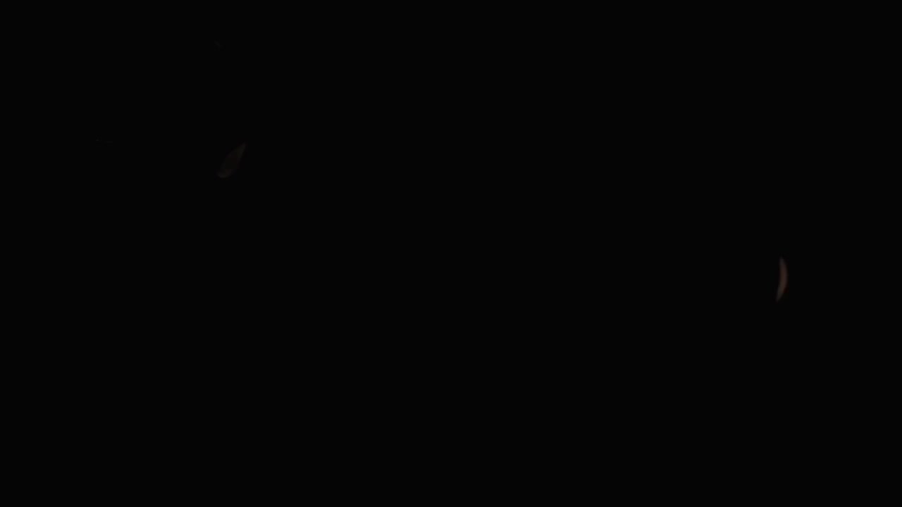 Marcin Patrzalek - Asturias