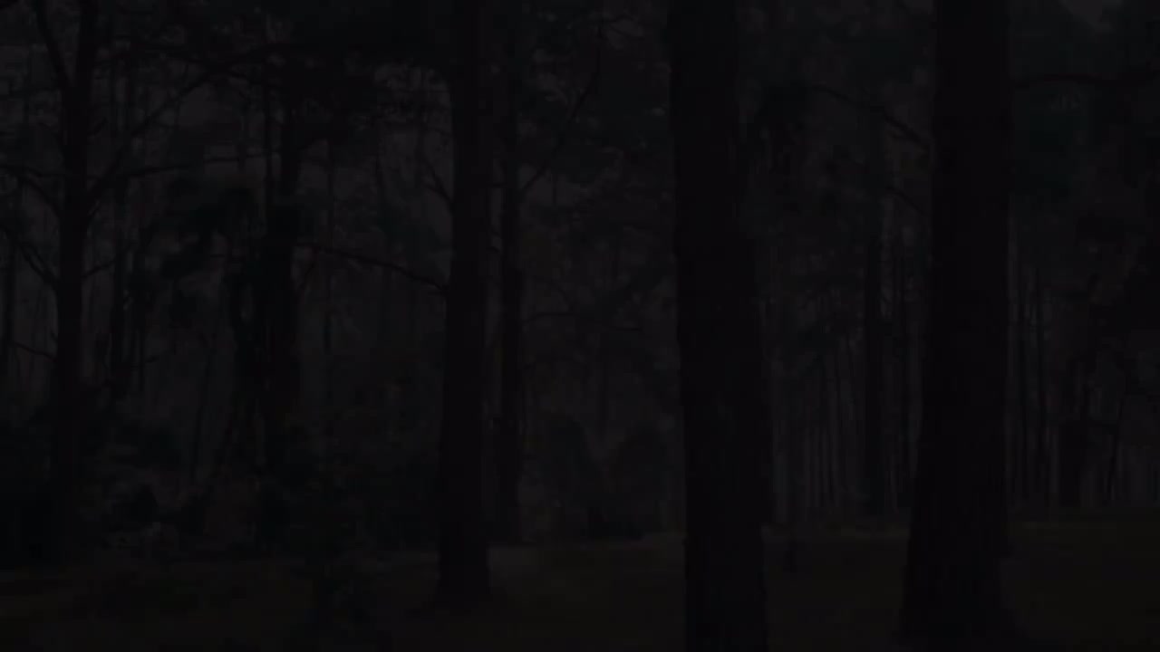 Daniel Padim－The Scientist