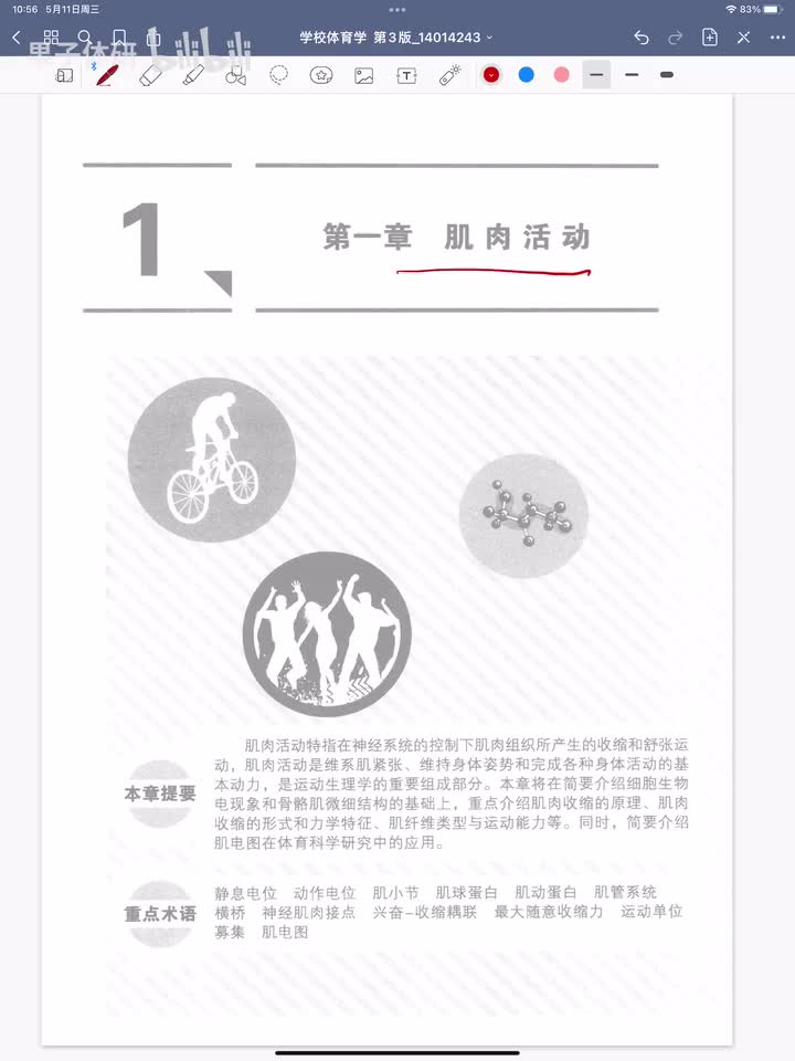 第一章 肌肉活动