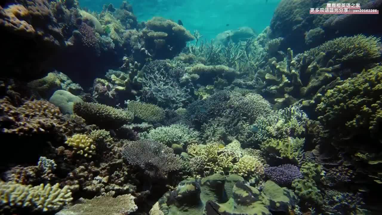 海底世界2