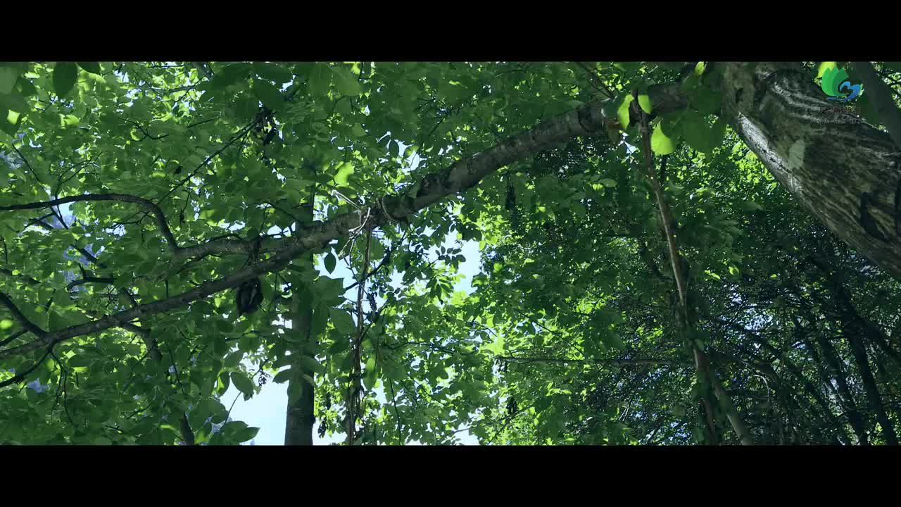 根呷 - 天边的巴拉格宗