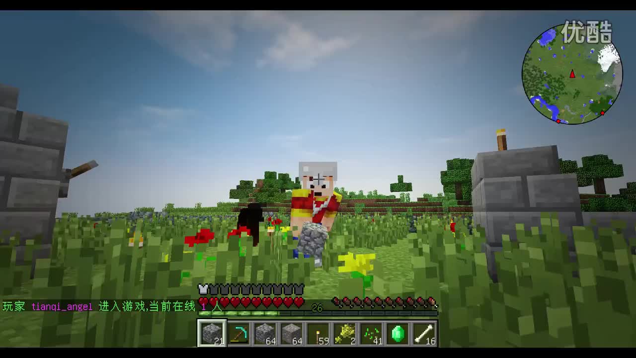 #6 小天家成乱葬岗