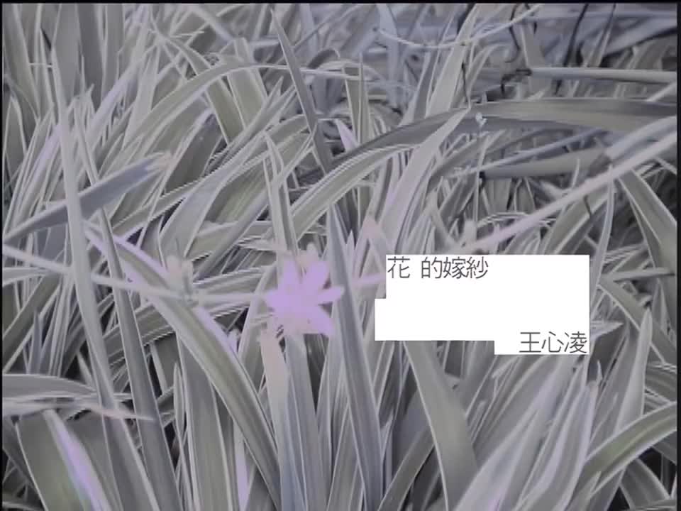 王心凌 - 花的嫁纱