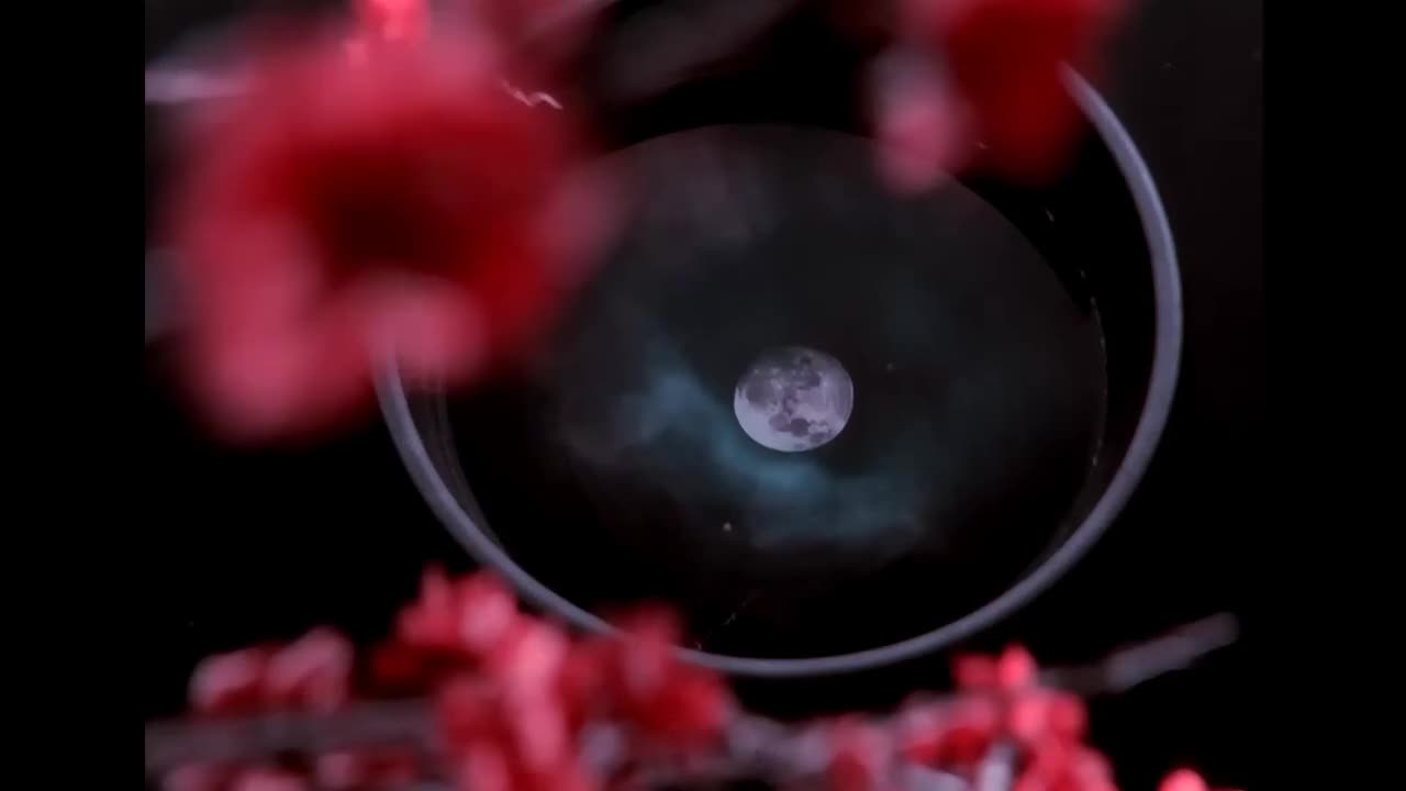 S.H.E - 月光手札