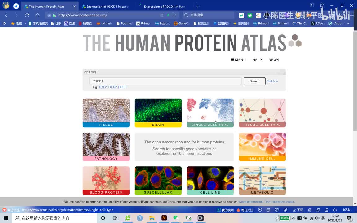 48 HPA组化图片数据库