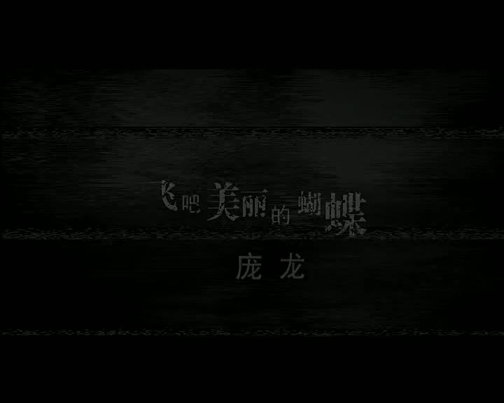 庞龙-飞吧美丽的蝴蝶-国语-流行